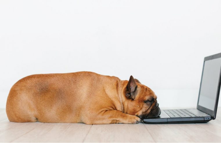 Os desafios do home office e dicas para manter a produtividade