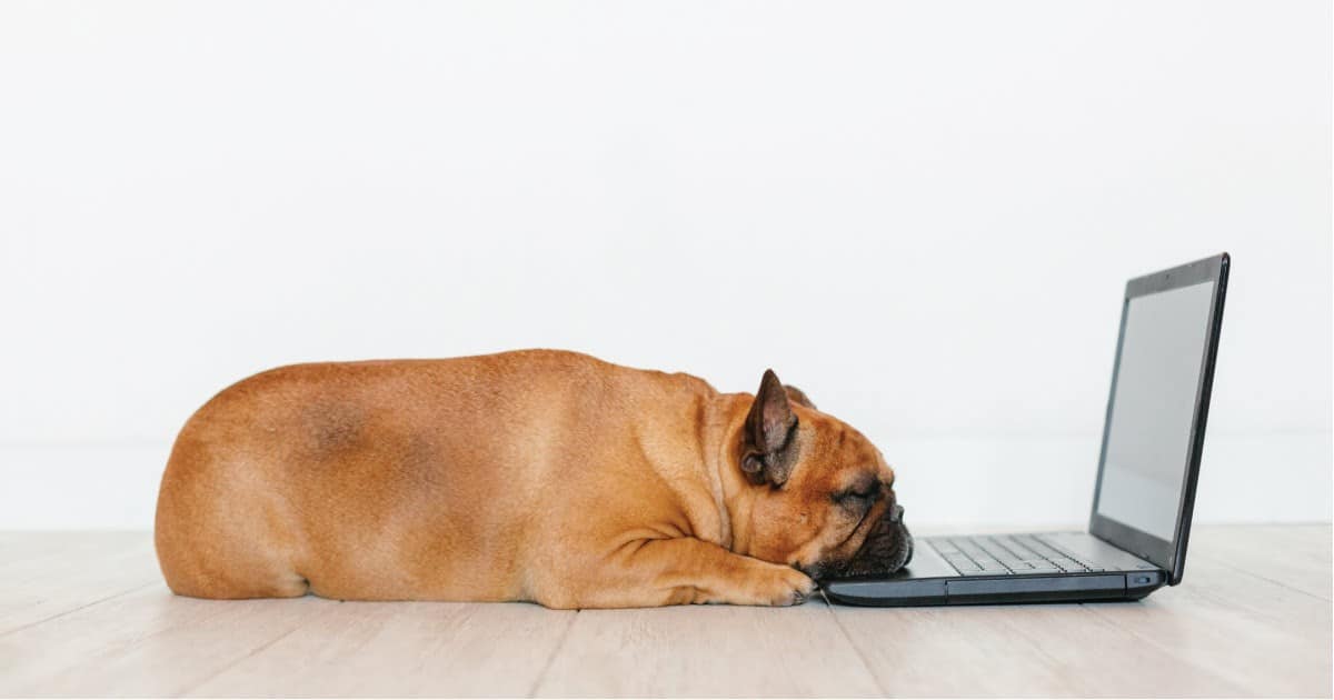 Os desafios do home office e dicas para manter a produtividade