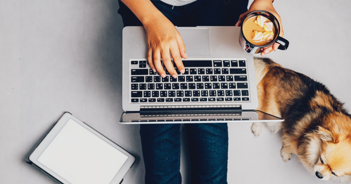 Descubra como trabalhar como freelancer online em 3 passos