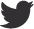 icone twitter